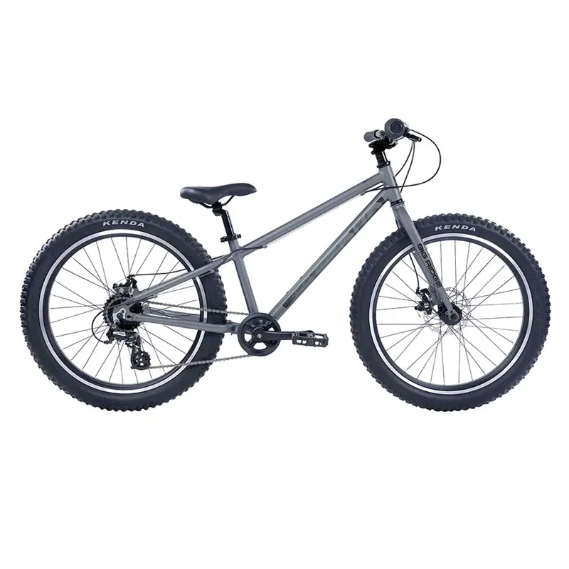 Evo Big Ridge 24 Kids Mountain Bike in Gray