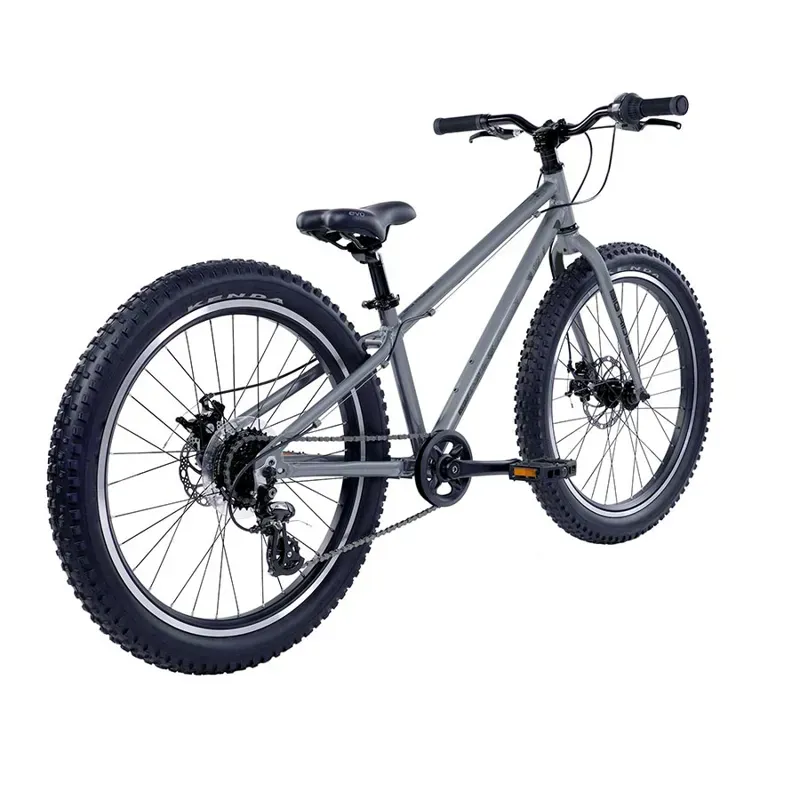 Evo Big Ridge 24 Kids Mountain Bike in Gray-1