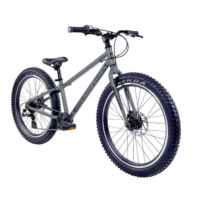 Evo Big Ridge 24 Kids Mountain Bike in Gray-2