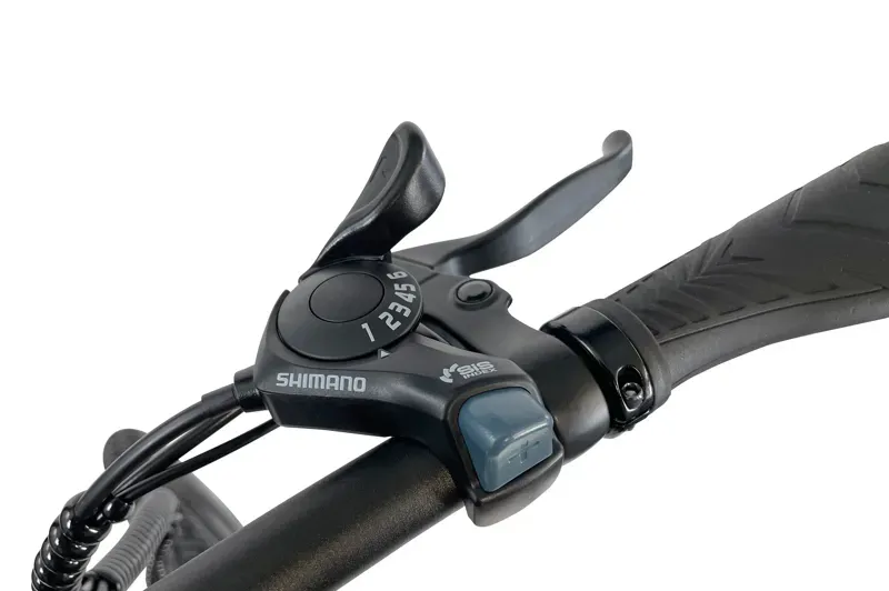 Blaupunkt Henri Electric Bike in Silver-13
