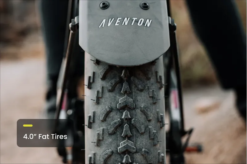 Aventon Aventure M Ebike Regular - Camoflage-3