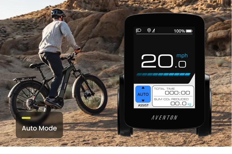 Aventon Aventure M Ebike Regular - Camoflage-9