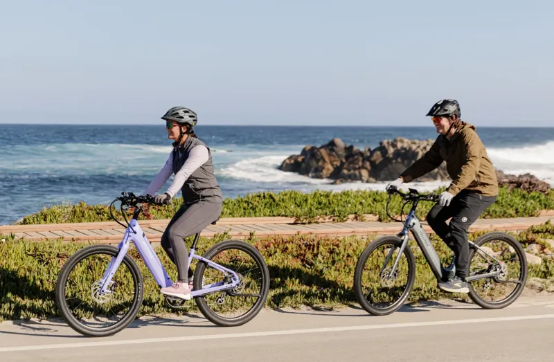 Velotric Breeze 1 Step-Through Cruiser Ebike Large - Slate Gray-7