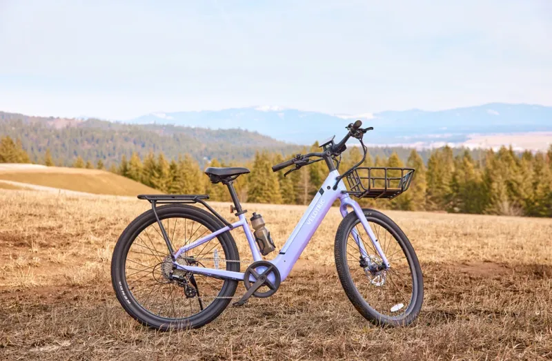 Velotric Breeze 1 Step-Through Cruiser Ebike Large - Slate Gray-10