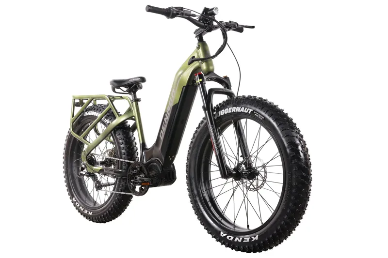 Denago Hunting 1 eMTB Mountain eBike L/XL - Green/Black-1