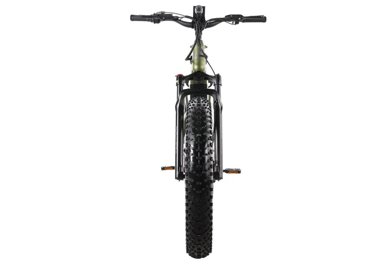 Denago Hunting 1 eMTB Mountain eBike L/XL - Green/Black-3