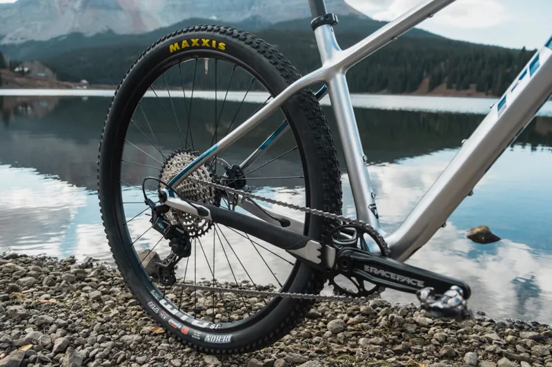 Pivot Cycles LES SL Silver Bullet Mountain Bike Medium - SID Ultimate GX AXS-3