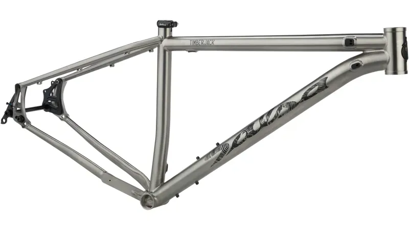 Salsa Timberjack Ti Titanium Frame in Silver